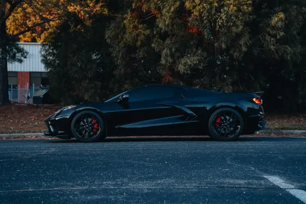 위너즈 카지노 안드로이드/iOS 앱